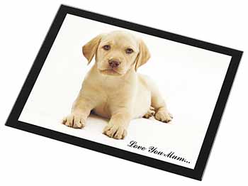 Yellow Labrador Pup 