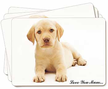 Yellow Labrador Pup 