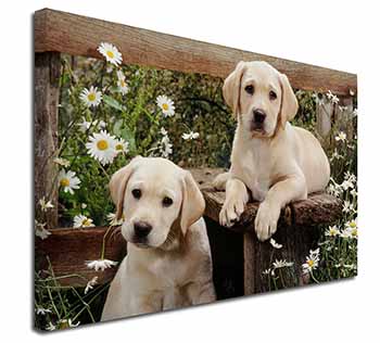 Yellow Labrador Puppies Canvas X-Large 30"x20" Wall Art Print