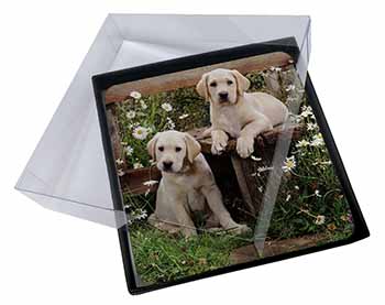 4x Yellow Labrador Puppies Picture Table Coasters Set in Gift Box