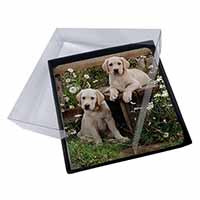 4x Yellow Labrador Puppies Picture Table Coasters Set in Gift Box