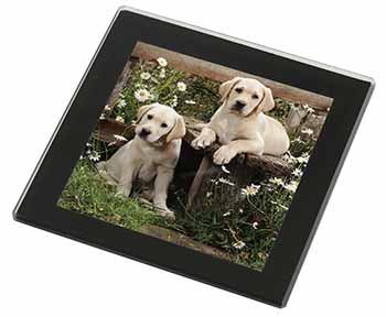 Yellow Labrador Puppies Black Rim High Quality Glass Coaster
