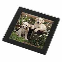 Yellow Labrador Puppies Black Rim High Quality Glass Coaster