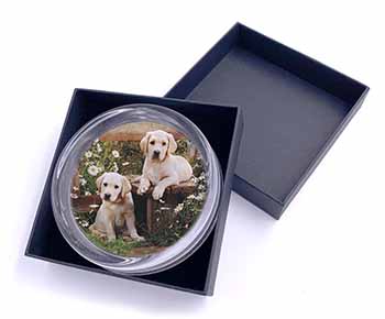 Yellow Labrador Puppies Glass Paperweight in Gift Box