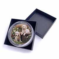 Yellow Labrador Puppies Glass Paperweight in Gift Box