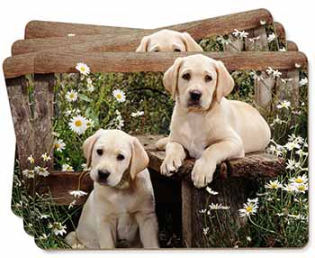 Yellow Labrador Puppies Picture Placemats in Gift Box