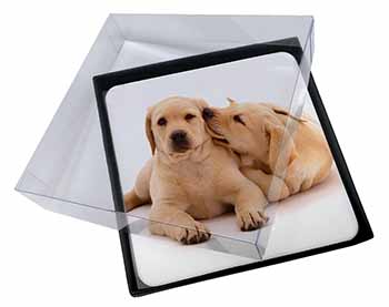 4x Yellow Labrador Dogs Picture Table Coasters Set in Gift Box