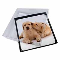 4x Yellow Labrador Dogs Picture Table Coasters Set in Gift Box