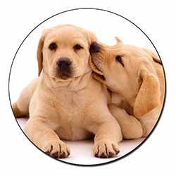 Yellow Labrador Dogs Fridge Magnet Printed Full Colour