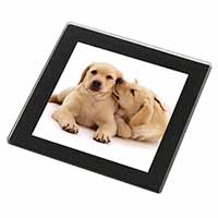 Yellow Labrador Dogs Black Rim High Quality Glass Coaster