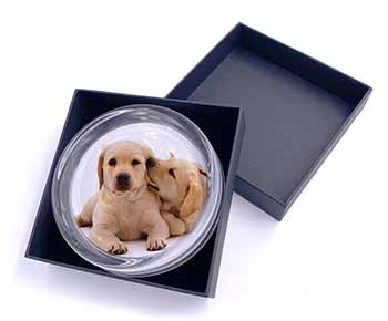 Yellow Labrador Dogs Glass Paperweight in Gift Box