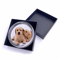 Yellow Labrador Dogs Glass Paperweight in Gift Box
