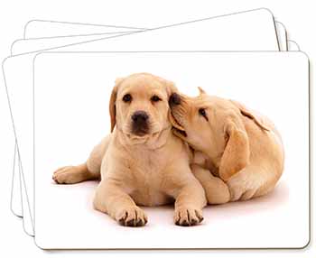 Yellow Labrador Dogs Picture Placemats in Gift Box
