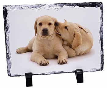 Yellow Labrador Dogs, Stunning Photo Slate