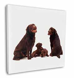 Chocolate Labrador Puppies Square Canvas 12"x12" Wall Art Picture Print