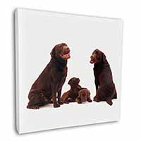 Chocolate Labrador Puppies Square Canvas 12"x12" Wall Art Picture Print