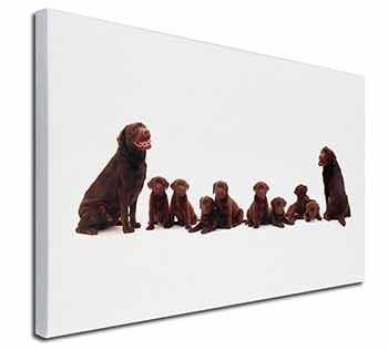 Chocolate Labrador Puppies Canvas X-Large 30"x20" Wall Art Print