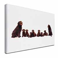 Chocolate Labrador Puppies Canvas X-Large 30"x20" Wall Art Print