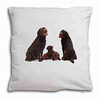 Chocolate Labrador Puppies Soft White Velvet Feel Scatter Cushion