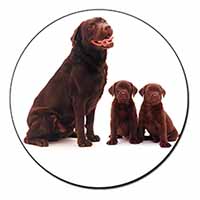 Chocolate Labrador Puppies Fridge Magnet Printed Full Colour