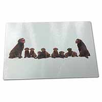 Large Glass Cutting Chopping Board Chocolate Labrador Puppies