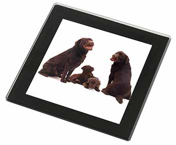 Chocolate Labrador Puppies Black Rim High Quality Glass Coaster