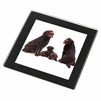 Chocolate Labrador Puppies Black Rim High Quality Glass Coaster