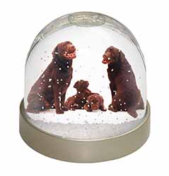 Chocolate Labrador Puppies Snow Globe Photo Waterball