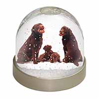 Chocolate Labrador Puppies Snow Globe Photo Waterball