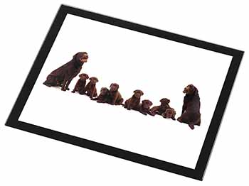 Chocolate Labrador Puppies Black Rim High Quality Glass Placemat