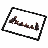 Chocolate Labrador Puppies Black Rim High Quality Glass Placemat