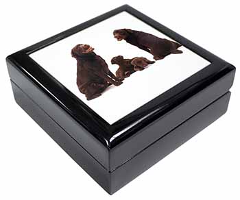 Chocolate Labrador Puppies Keepsake/Jewellery Box