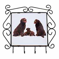 Chocolate Labrador Puppies Wrought Iron Key Holder Hooks