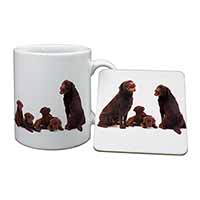 Chocolate Labrador Puppies Mug and Coaster Set