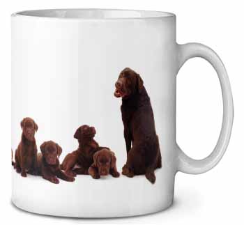 Chocolate Labrador Puppies Ceramic Coffee Mug/Tea Cup
