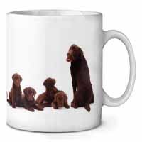 Chocolate Labrador Puppies Ceramic 10oz Coffee Mug/Tea Cup