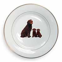 Chocolate Labrador Puppies Gold Rim Plate Printed Full Colour in Gift Box