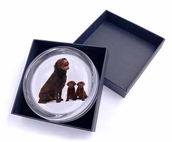 Chocolate Labrador Puppies Glass Paperweight in Gift Box