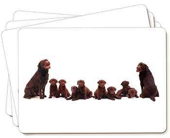 Chocolate Labrador Puppies Picture Placemats in Gift Box