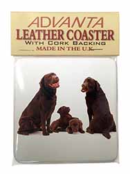 Chocolate Labrador Puppies Single Leather Photo Coaster