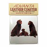 Chocolate Labrador Puppies Single Leather Photo Coaster