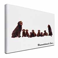 Chocolate Labradors-Love Canvas X-Large 30"x20" Wall Art Print