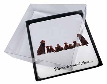 4x Chocolate Labradors-Love Picture Table Coasters Set in Gift Box