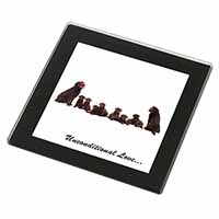 Chocolate Labradors-Love Black Rim High Quality Glass Coaster