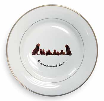 Chocolate Labradors-Love Gold Rim Plate Printed Full Colour in Gift Box