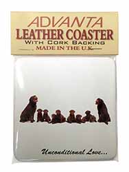 Chocolate Labradors-Love Single Leather Photo Coaster
