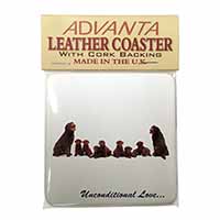 Chocolate Labradors-Love Single Leather Photo Coaster