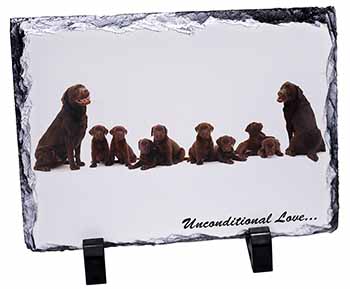 Chocolate Labradors-Love, Stunning Photo Slate