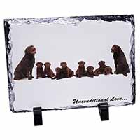 Chocolate Labradors-Love, Stunning Photo Slate