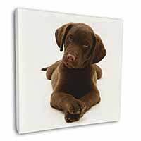 Chocolate Labrador Puppy Dog Square Canvas 12"x12" Wall Art Picture Print
